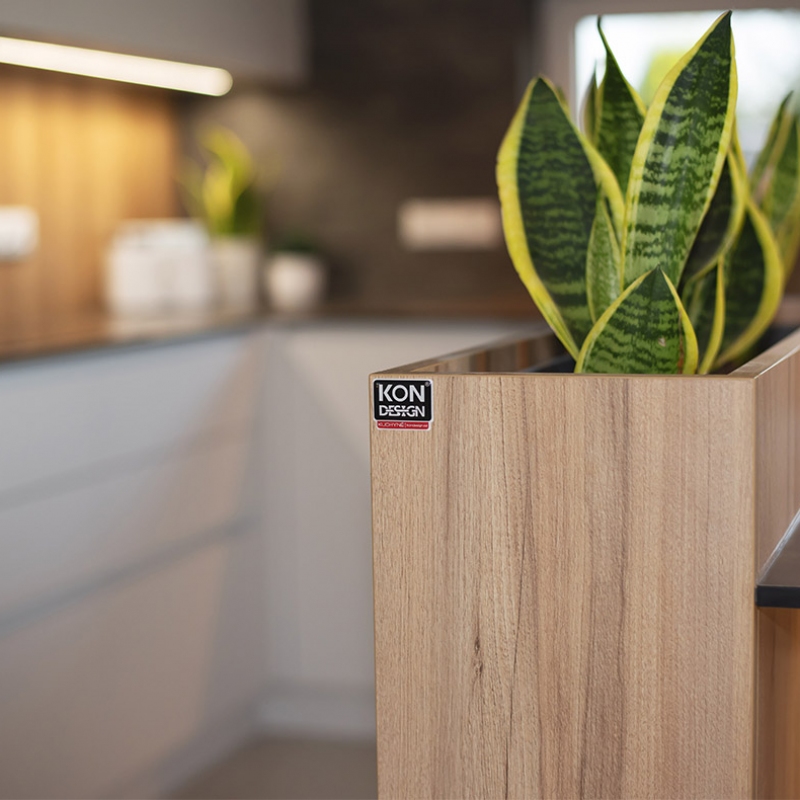 kuchyně s květináčem